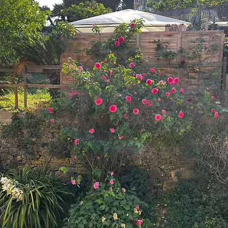 The Sea Flower Con Giardino E Garage Auto Incluso Appartement San Remo